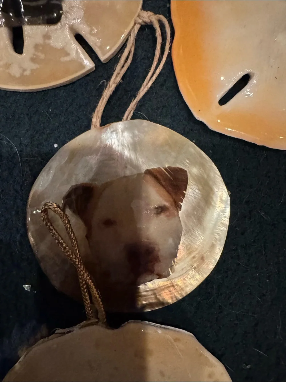 Dog Photo real Sand Dollar Ornament - Cream and Tan Pet Keepsake